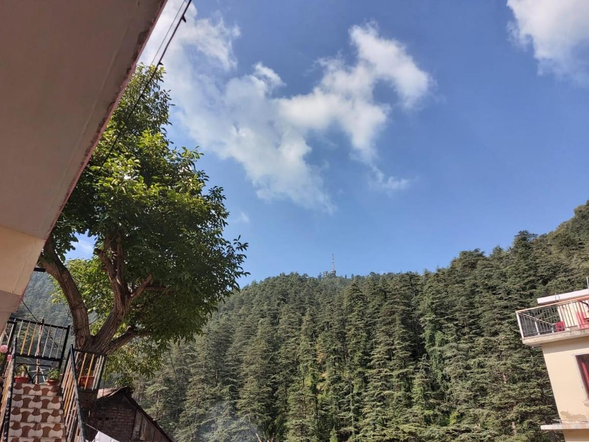 Shimla Pines Homestay Екстер'єр фото