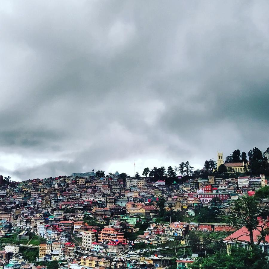 Shimla Pines Homestay Екстер'єр фото