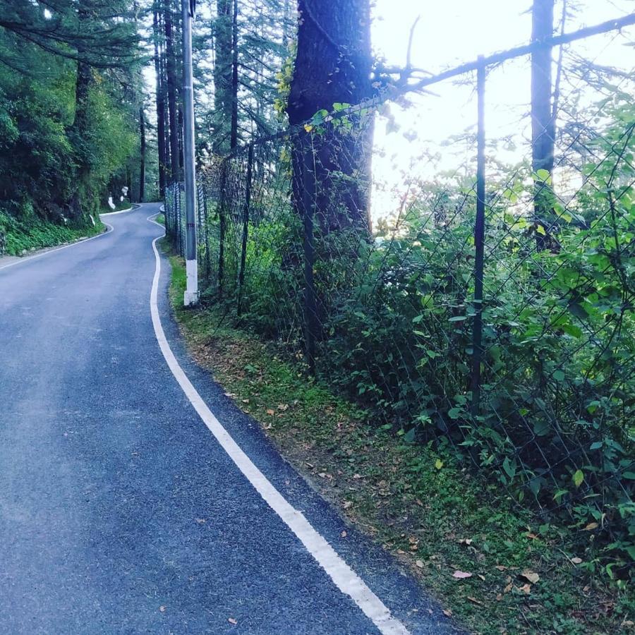 Shimla Pines Homestay Екстер'єр фото