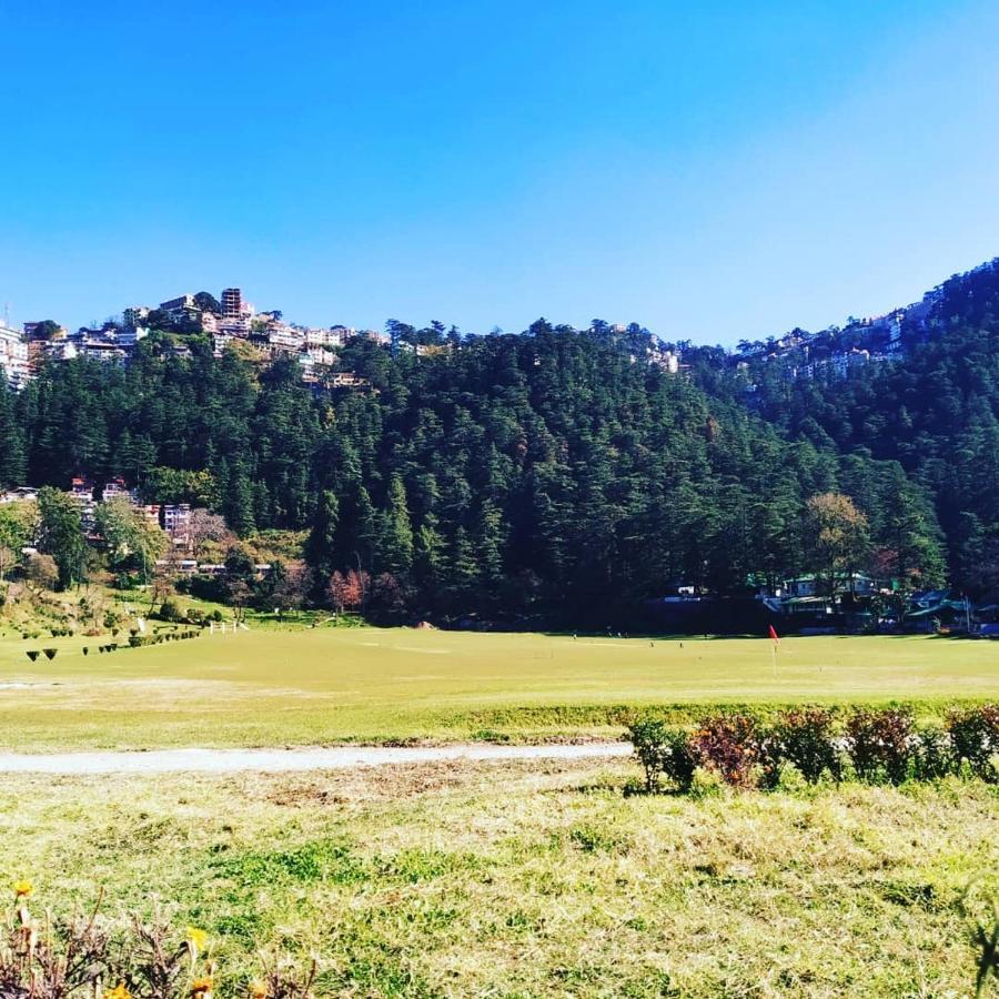 Shimla Pines Homestay Екстер'єр фото